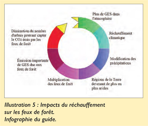 Impacte du rechauffement